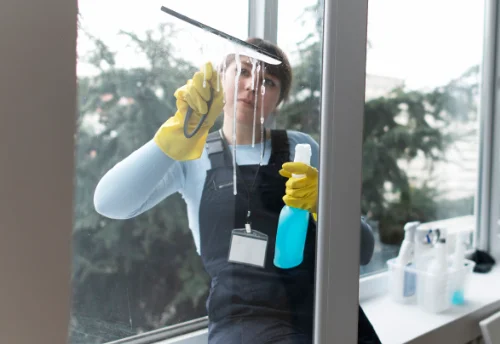 Nettoyage de vitres intérieures et extérieures à Sonnay